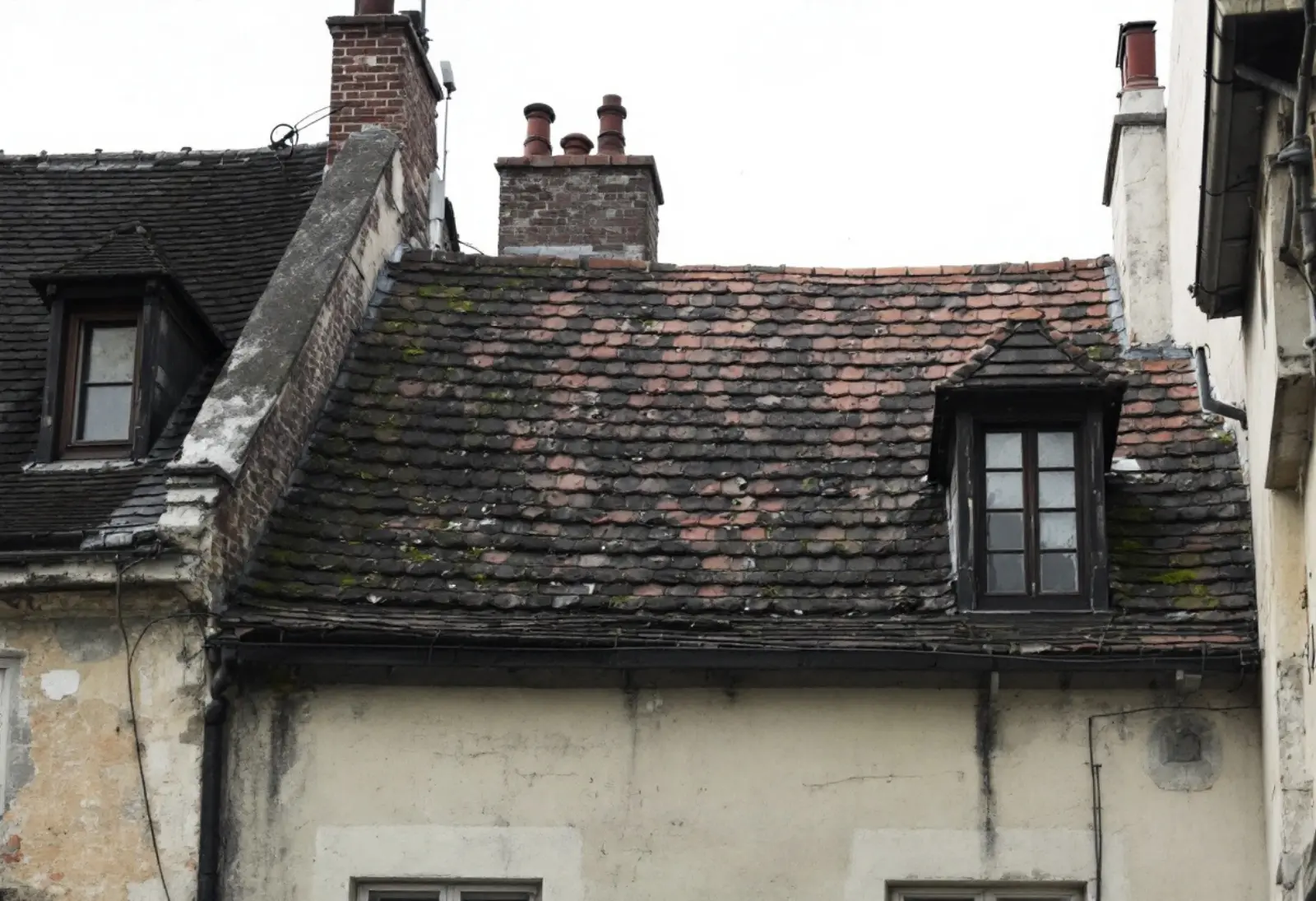 Toit en ardoise d'une maison de faubourg : rangs désalignés et mousse en plaques sur le versant nord